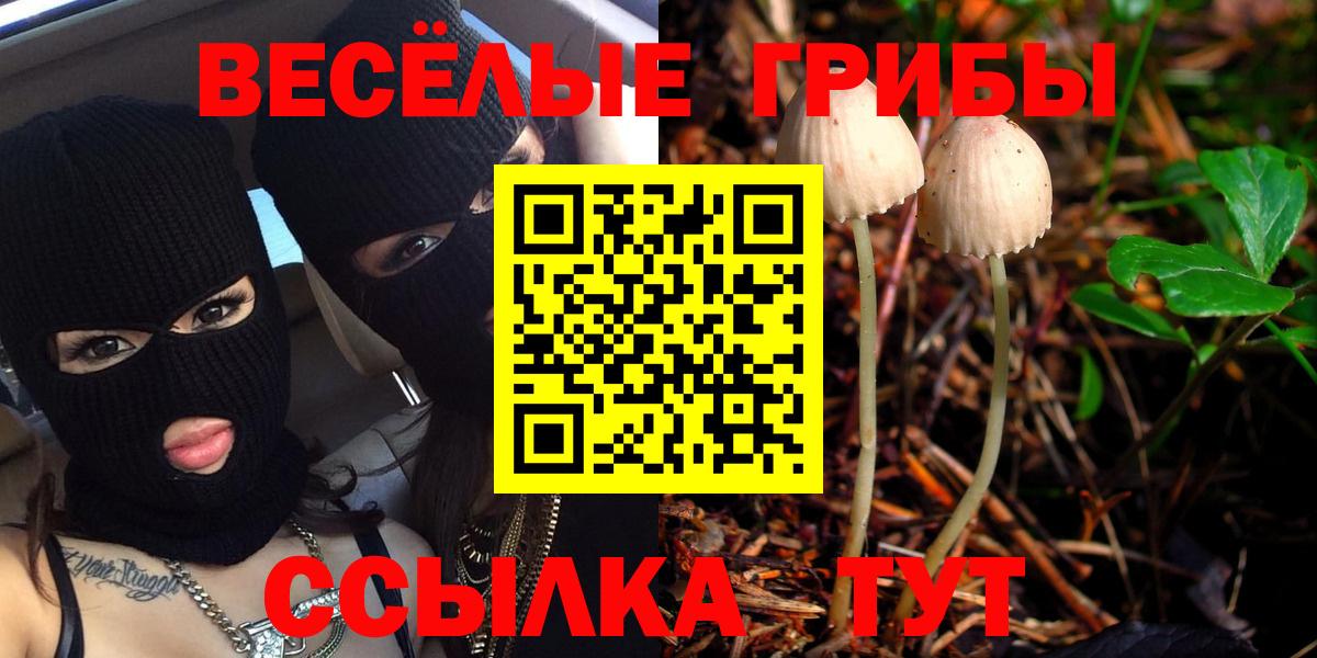 Псилоцибиновые грибы Cubensis Кстово
